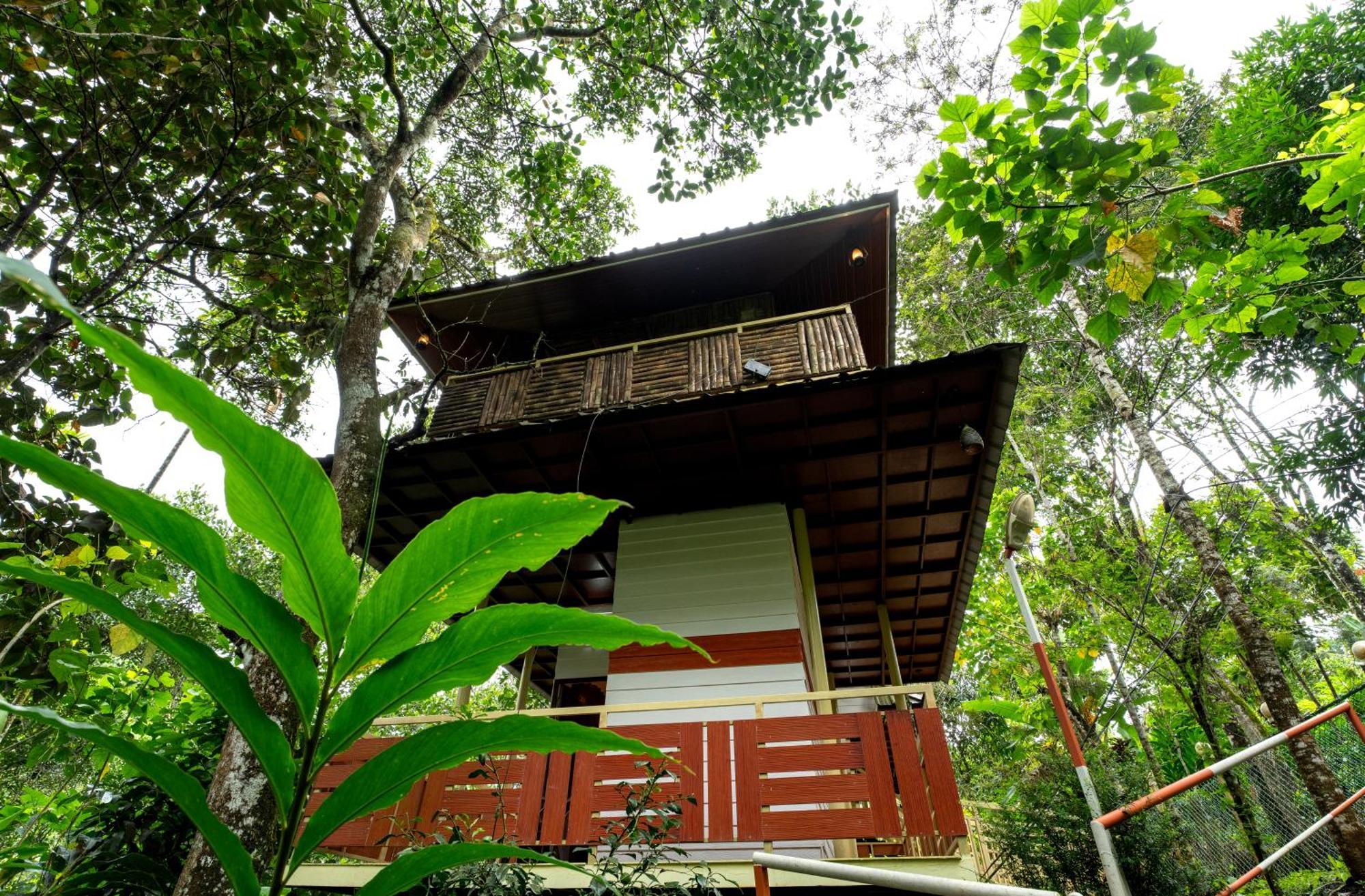 Hotel Chalona Hill View Munnar Zewnętrze zdjęcie