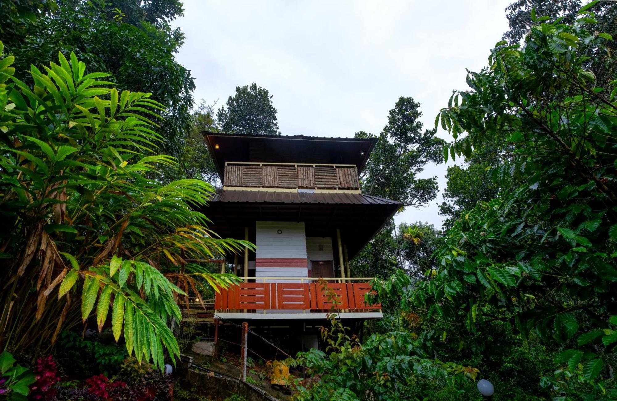 Hotel Chalona Hill View Munnar Zewnętrze zdjęcie